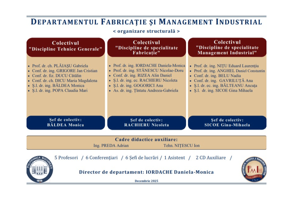 DFMI Organizare Structurala Personal